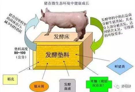 南方上海金ETF联接A(图1)